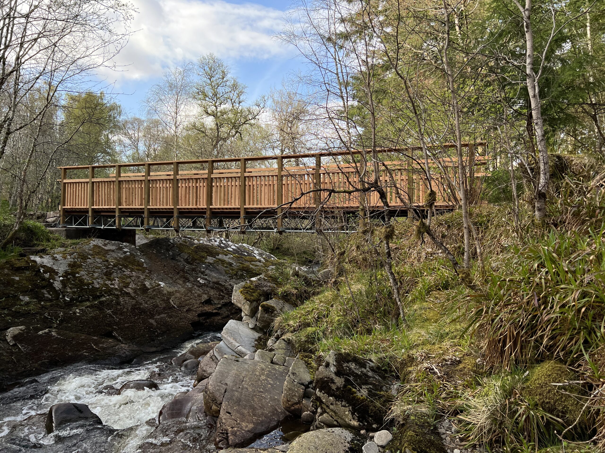 Carie Footbridge 3