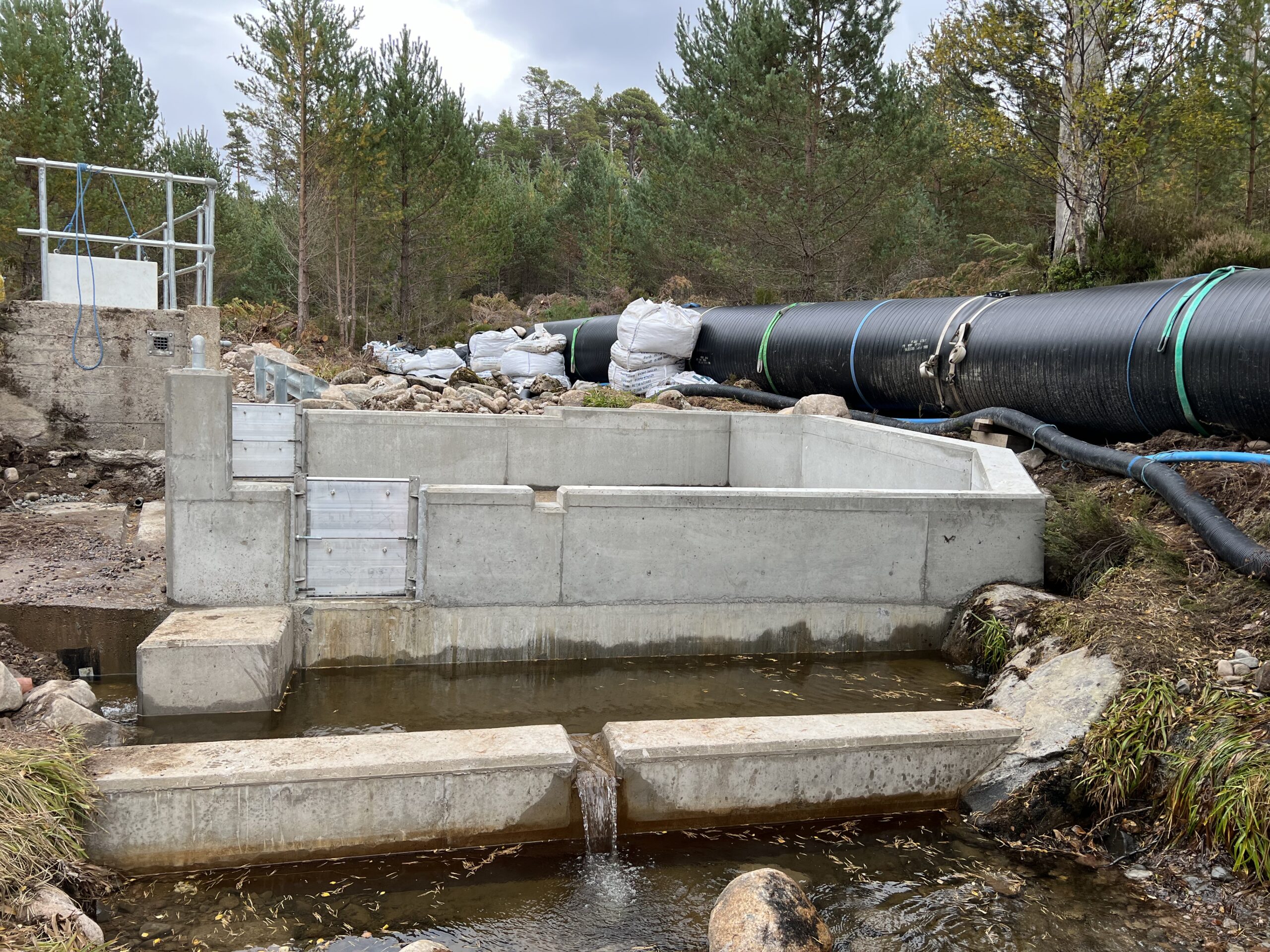 Formwork Reinforcement Concrete